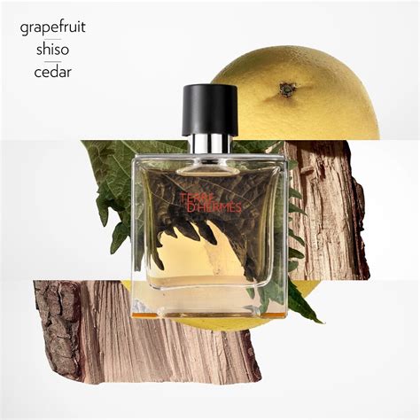 paket zurückgestellt hermeshermes terre parfum|hermes cologne terre d.